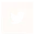 Twitter icon